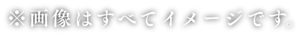 ※画像はすべてイメージです。